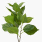 Green Hydrangea Leaf Pack of 6