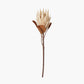 Natural Apricot Faux Flower Bunch