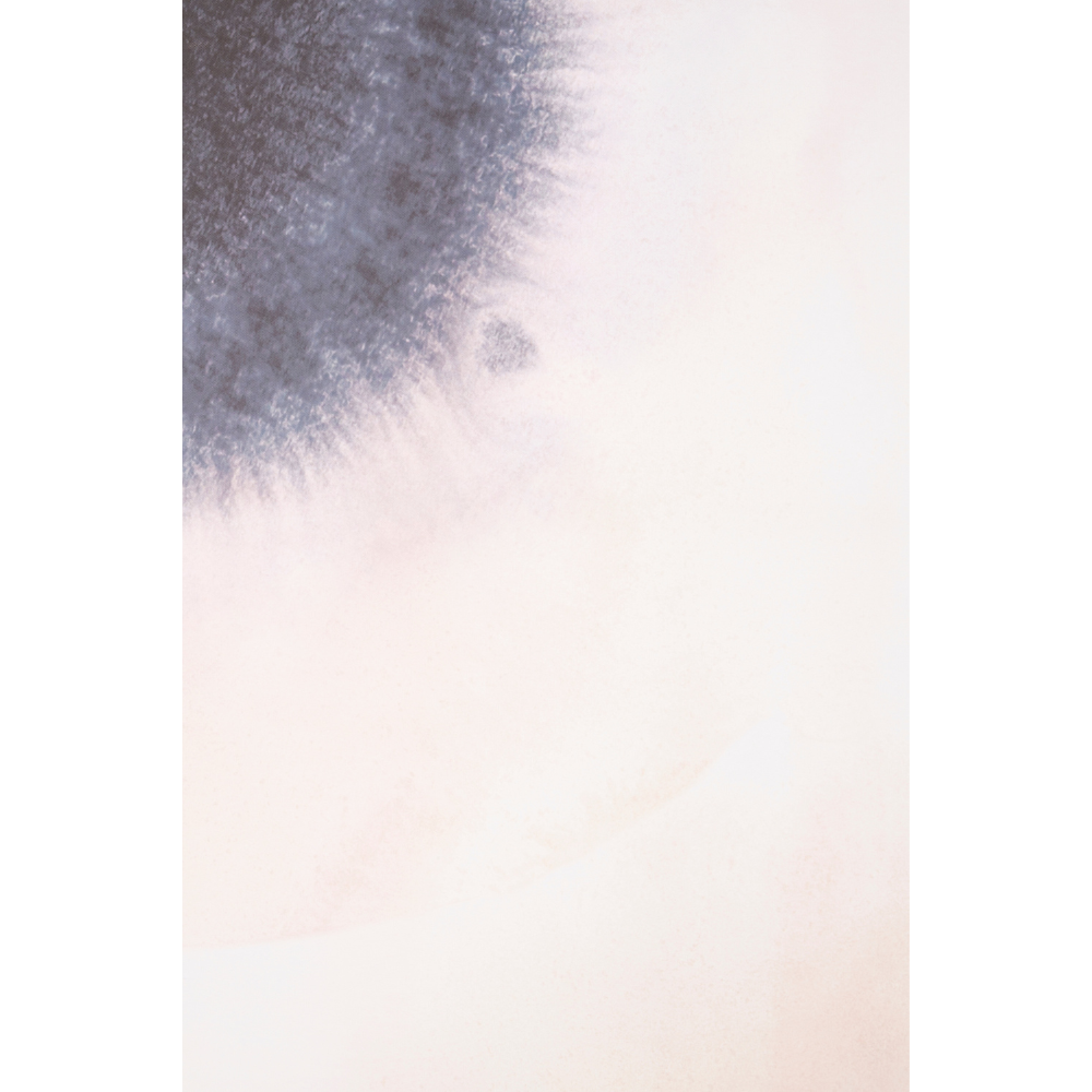 Astratto_Canvas_Classic_Wall_Art_interia.co.uk