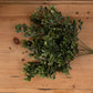 Red Tipped Leaf Spray