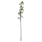 English Blossom Branch