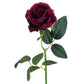Deep Red Rose