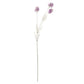 Purple Meadow Flower