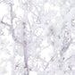 Snowy Branch