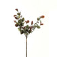 Variegated Eucalyptus Bouquet