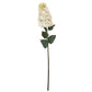 White  Spear Hydrangea
