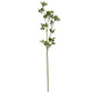 Faux White Cow Parsley Ammi