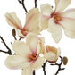 The Natural Garden Collection Pale Apricot Magnolia Stem