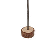 Medium Snowy Spindle Tree In Wood Log