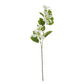 Cream Bauhinia Orchid Spray