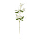 Cream Pearl Clematis Spray