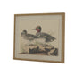 Flora & Fauna Collection Teals On Linen In Beaded Frame