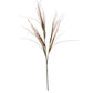 Brome Grass Spray