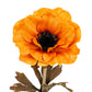 Orange Anemone Stem