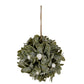 Frosted Mistletoe Ball Decoration
