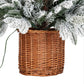 Snowy Norway Fir Pre-Lit Led 300L Fir Tree In Rattan Pot