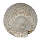 Alora Ceramic Large Hedgehog