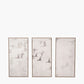 S/3 Natural and White Birds Canvases with Natural Frames