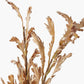 Natural Apricot Autumn Leaf Pack of 6