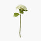 White Hydrangea Pack of 6